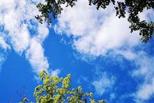 迎“藍”而上！直擊攀枝花、德陽、內(nèi)江大氣攻堅現(xiàn)場